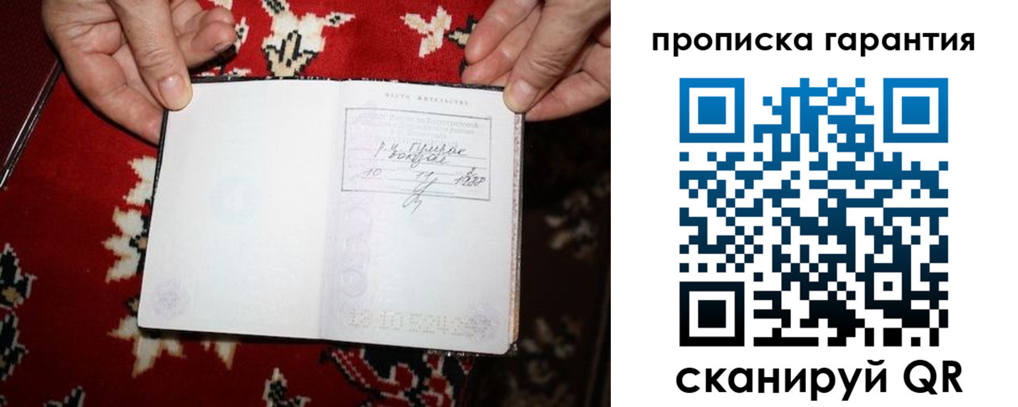 прописка гарантия в Ковдоре